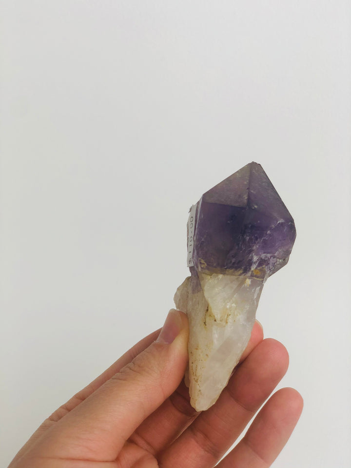 Amethyst Scepter  2