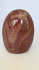 Petrified Wood Freeform Polished Display Piece 4" Tall 1.2 lbs