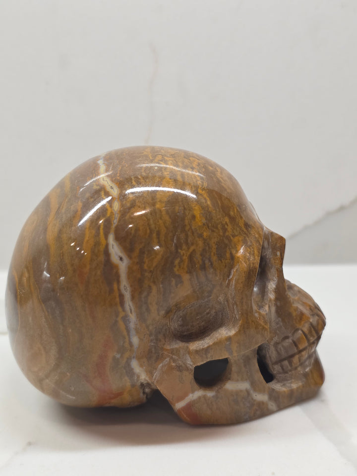 Ocean Jasper Skull Carving - 908g / 2lb