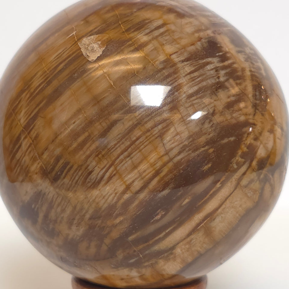 Petrified Wood Sphere – 1.395 lb – 76mm