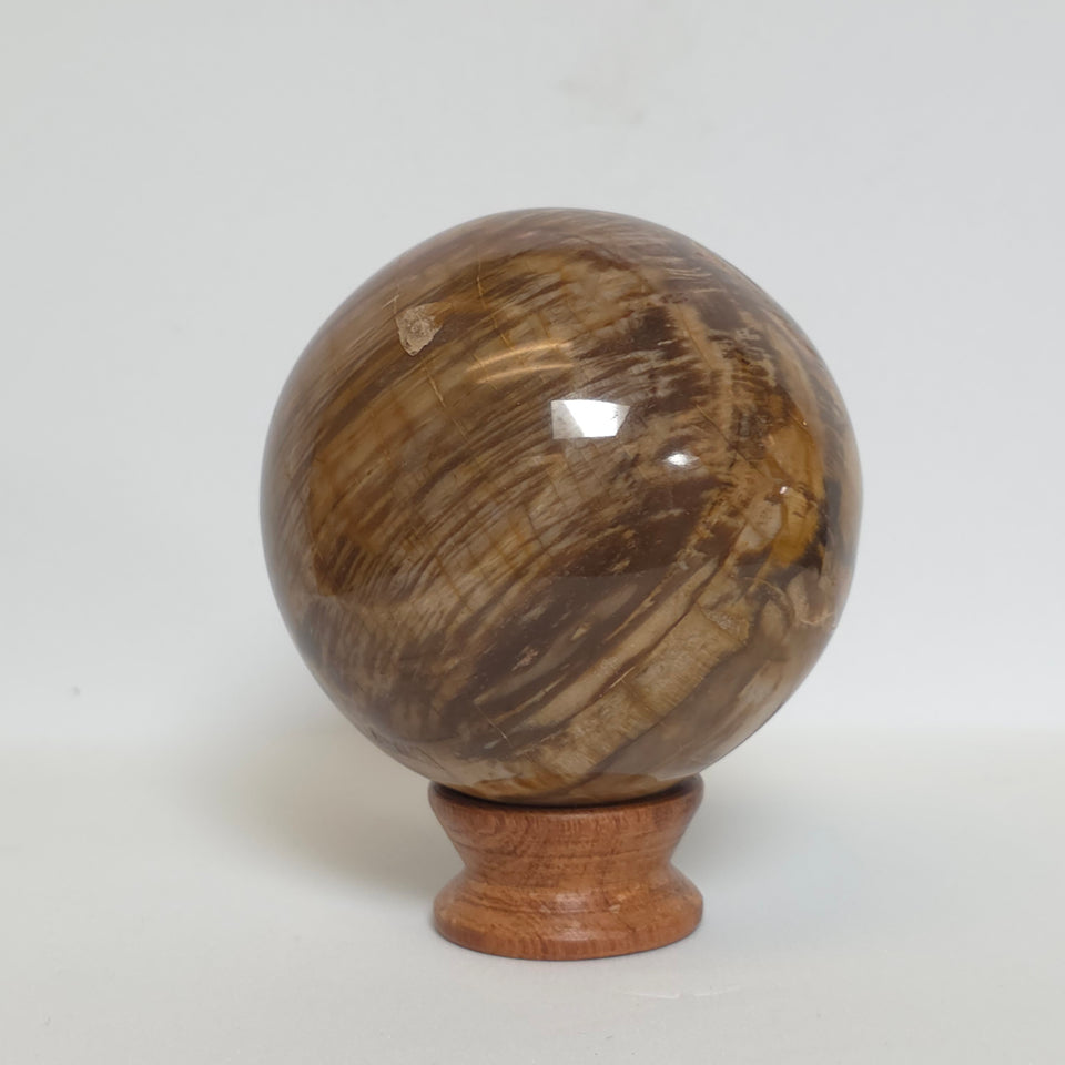Petrified Wood Sphere – 1.395 lb – 76mm