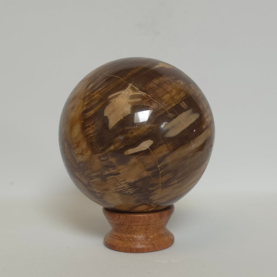 Petrified Wood Sphere – 1.395 lb – 76mm