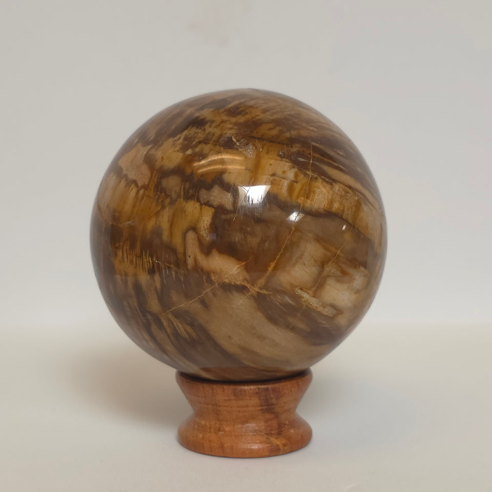 Petrified Wood Sphere – 1.395 lb – 76mm