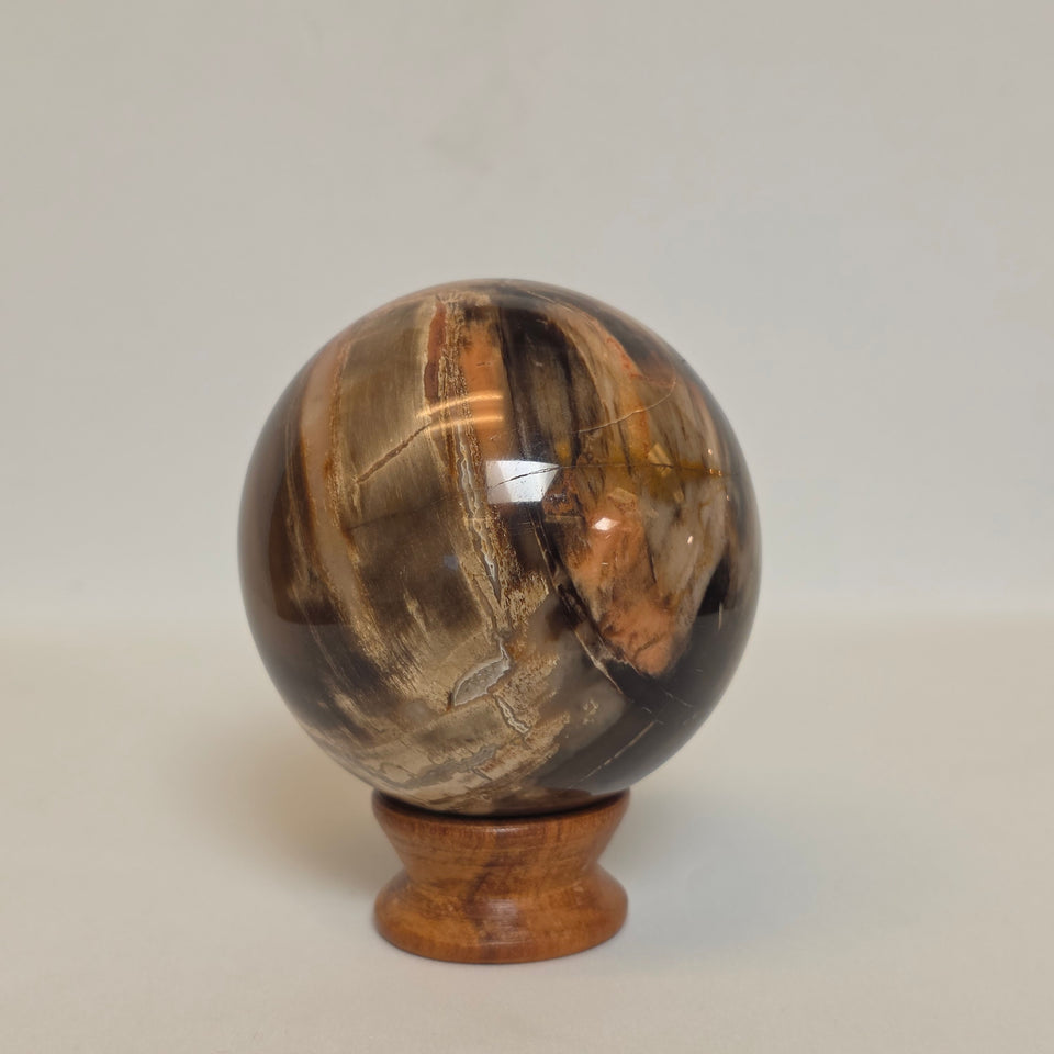 Petrified Wood Sphere – 1.145 lb | 72mm