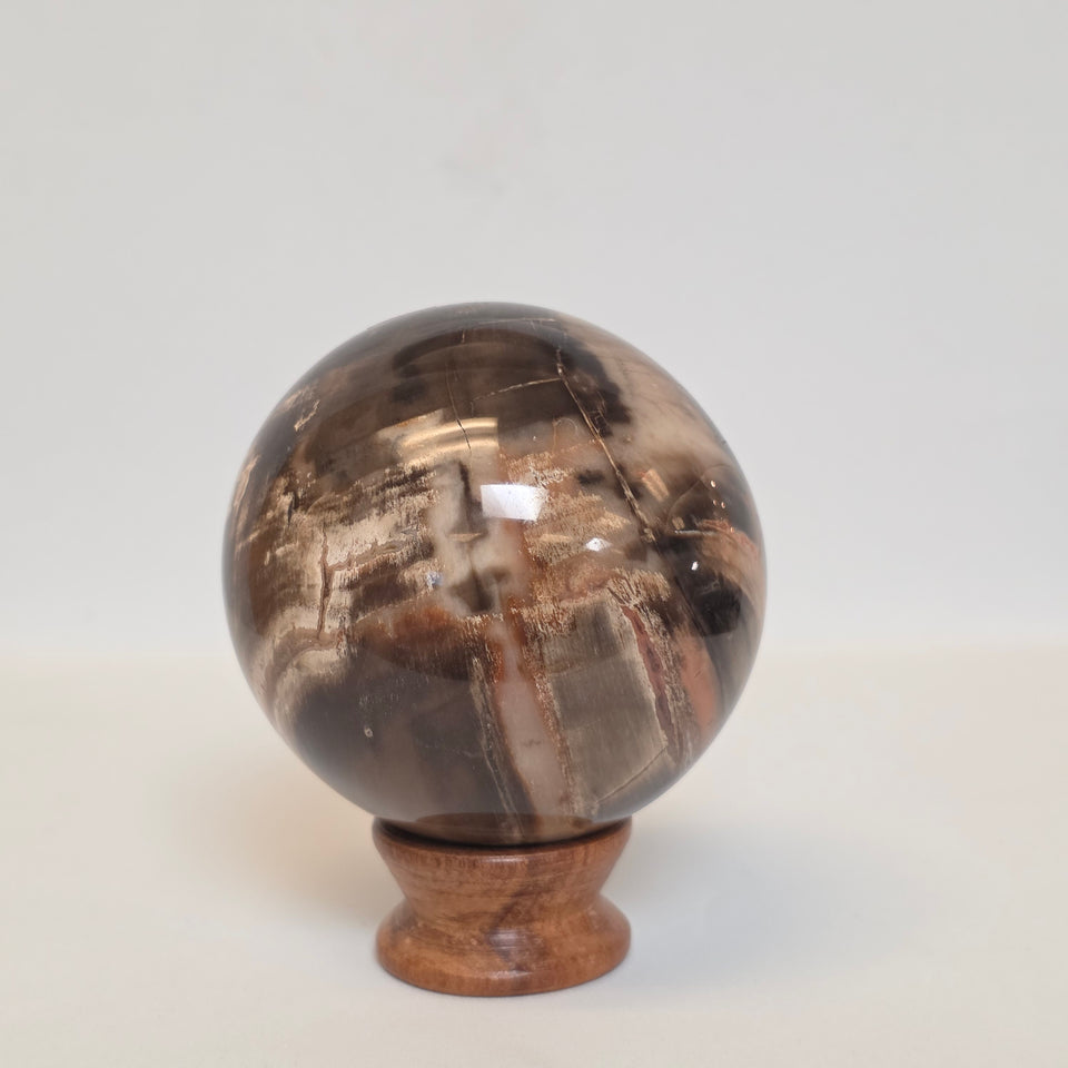 Petrified Wood Sphere – 1.145 lb | 72mm