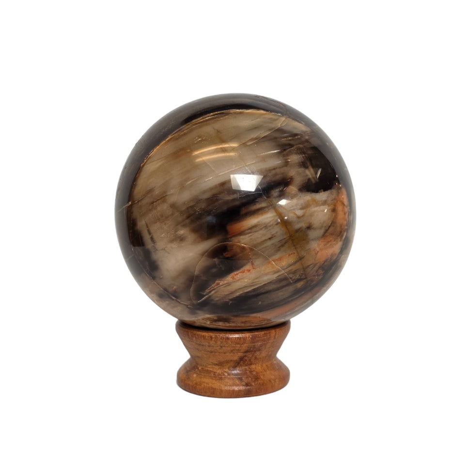 Petrified Wood Sphere – 1.145 lb | 72mm