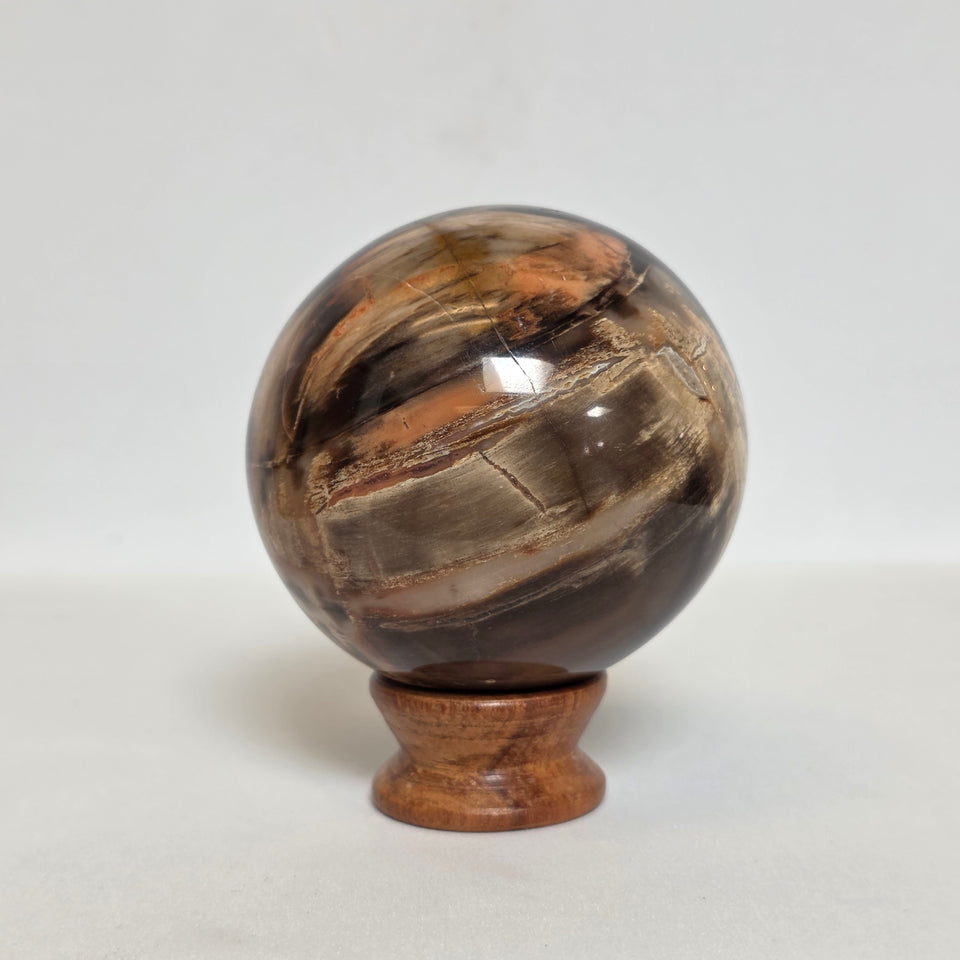 Petrified Wood Sphere – 1.145 lb | 72mm