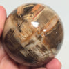 Petrified Wood Sphere – 1.145 lb | 72mm