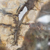 Petrified Wood Slice - 9" Wide - 2.22 lb
