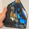 Labradorite Freeform Blue & Gold Flash 9.87 lb