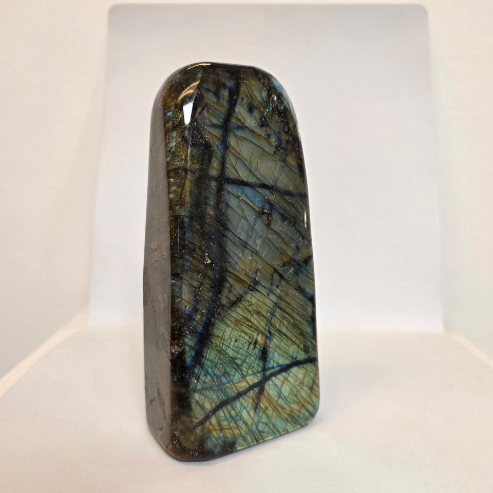Labradorite Freeform Yellow Flash  4.23 lb