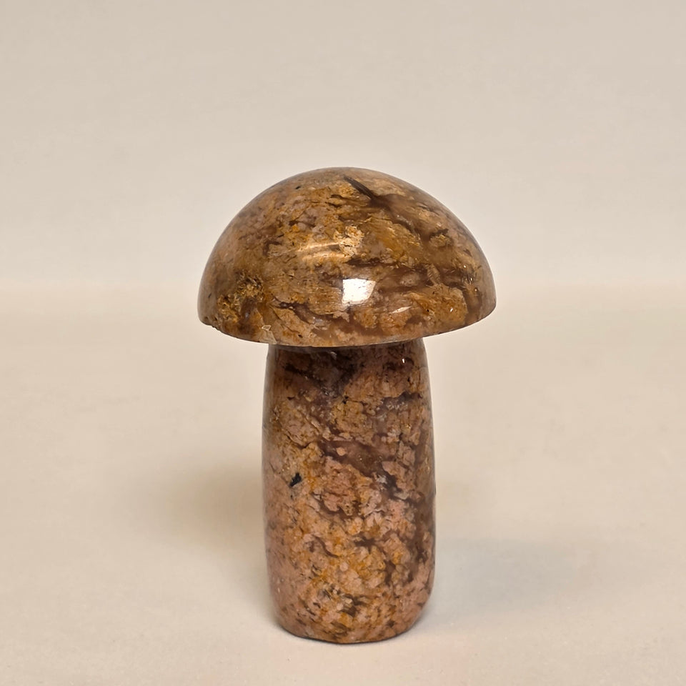 Flower Agate Mushroom – 0.25 lb