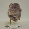 Amethyst Crystal Cluster | 0.675 lb