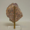 Amethyst Crystal Cluster | 0.675 lb