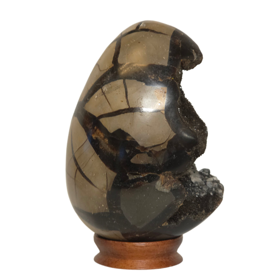 Septarian Geode Egg with Quartz Cavity