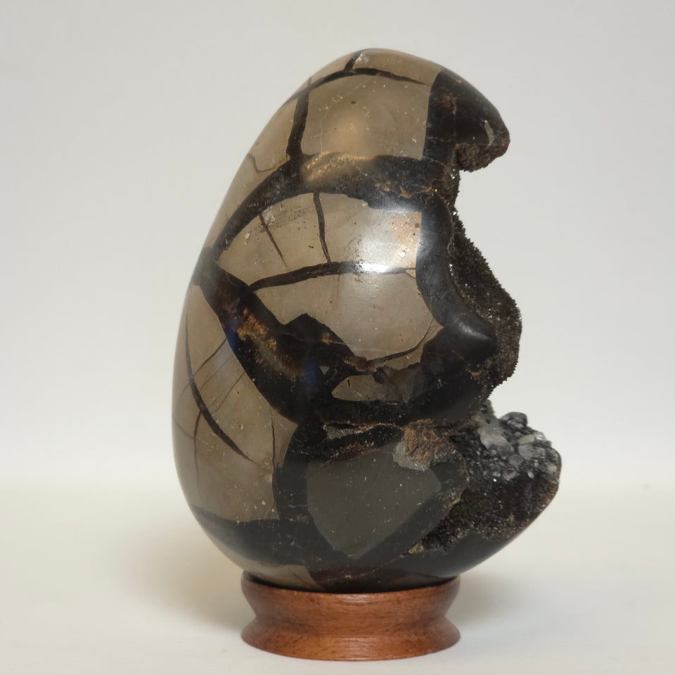 Septarian Geode Egg with Quartz Cavity