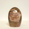 Polished Petrified Wood Freeform | Earth Tones