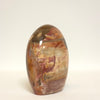 Polished Petrified Wood Freeform | Earth Tones