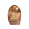 Polished Petrified Wood Freeform | Earth Tones