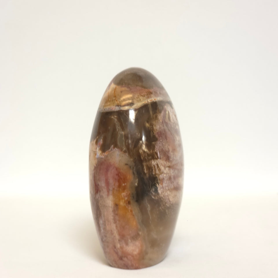 Polished Petrified Wood Freeform | Earth Tones