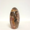 Polished Petrified Wood Freeform | Earth Tones