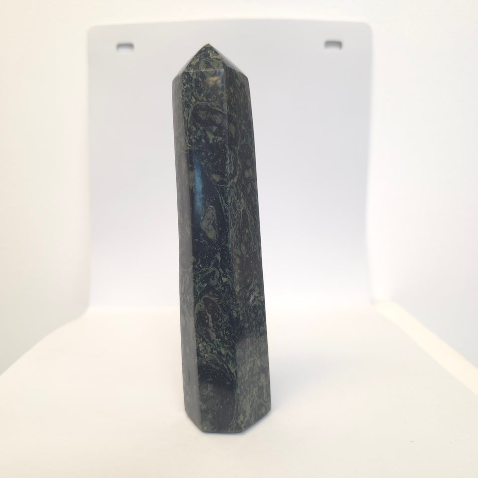 Kambaba Jasper Tower Point | 1.43 lb
