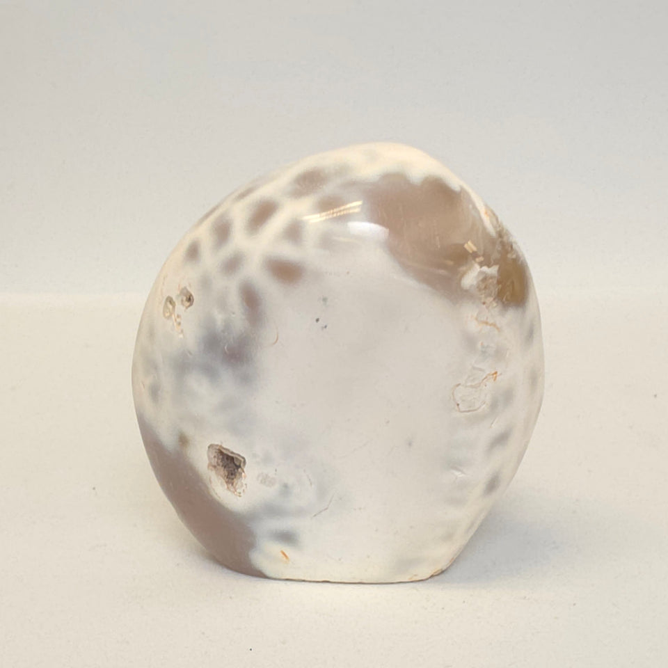 Orca Agate Geode Freeform with Sugary Druzy | 0.46 lb