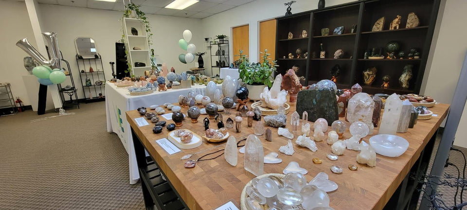 Showroom Shopping Appointment