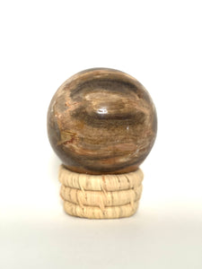 Petrified Wood Sphere - Nature Tones