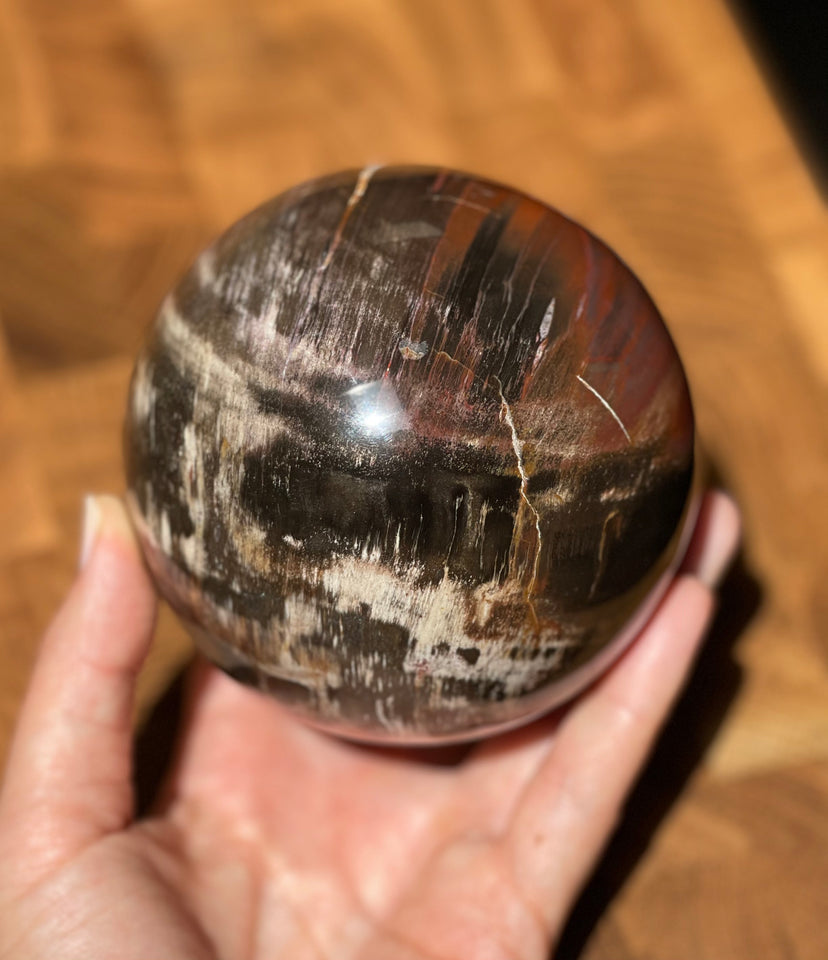 Petrified Wood Sphere - Large Multicoloured